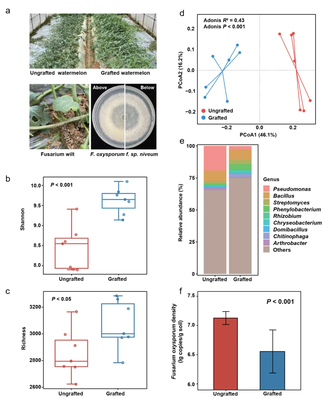 Microbiome